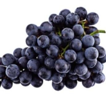 

Grosir Anggur Black Autumn Premium 1 Kg Fresh