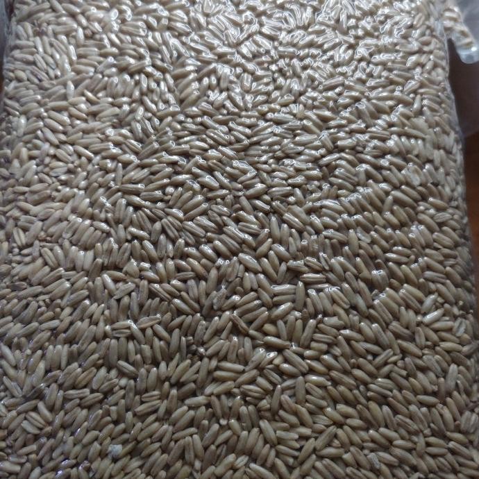 

ready Haver Kupas Haverseeds ( oat ) 3 max 1kg