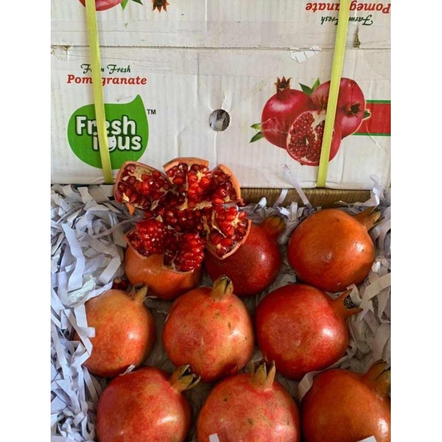 

Grosir Delima India 1 Dus (2 Kg) Fresh Import