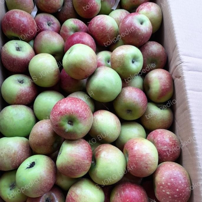 

Promo Apel Malang, Apel Malang Rome Beuty, 1 Dus