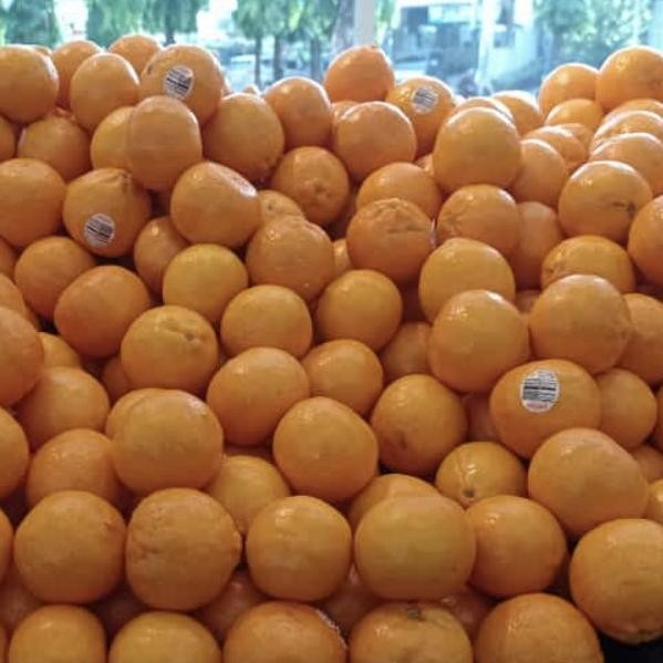

Murah Jeruk Summerina Australia Seedless 1 Kg