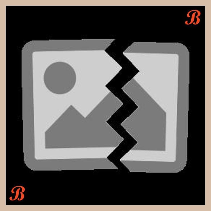 [TSM] BEARING RODA BELAKANG HONDA CIVIC WONDER GRAND CIVIC LX NOVA NTN