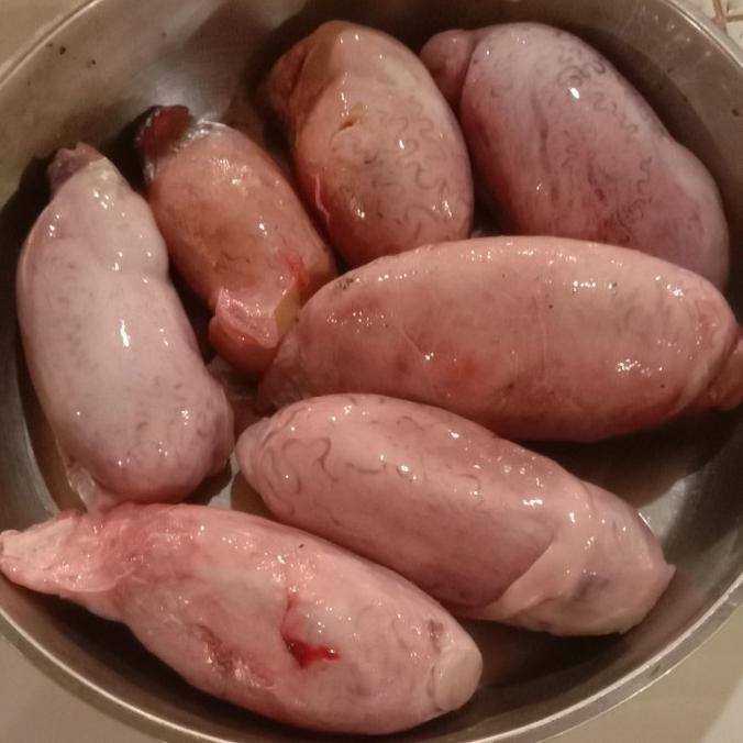 

Promo Torpedo /Biji Sapi