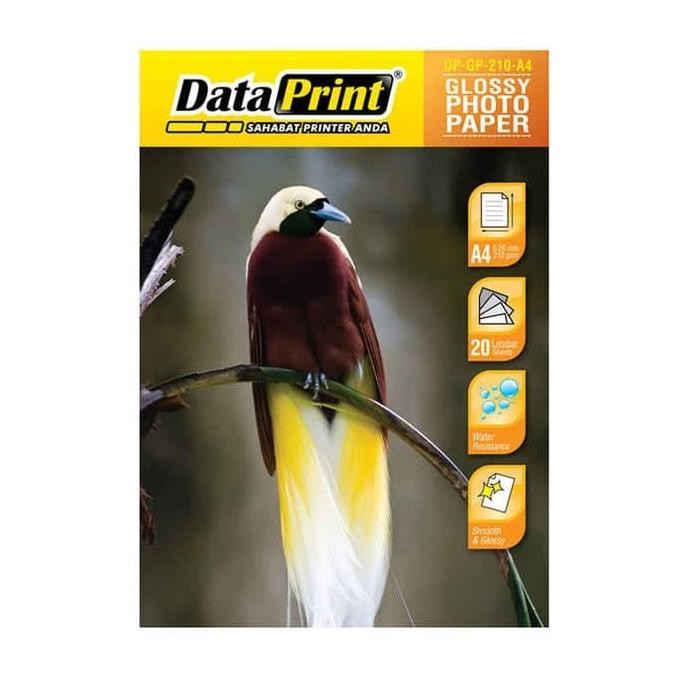 

Photo Paper Glossy Dataprint 210Gram Isi 20 Lembar|Glossy Paper Promo