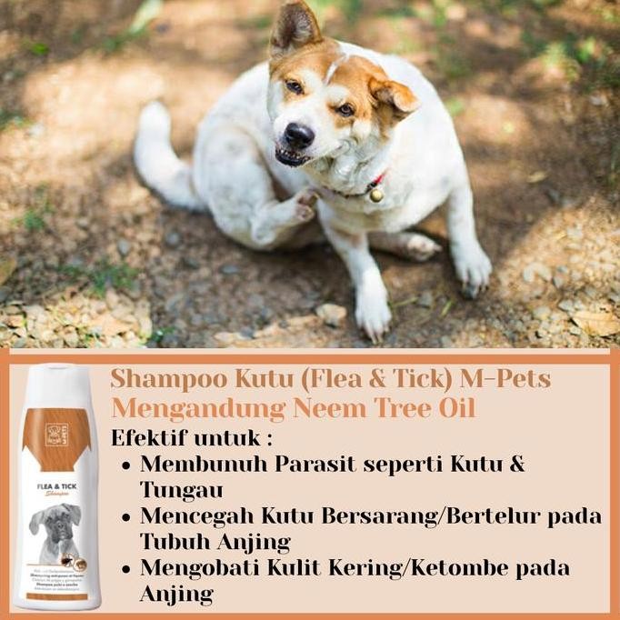 Shampoo anjing anti kutu Mpets Terlaris