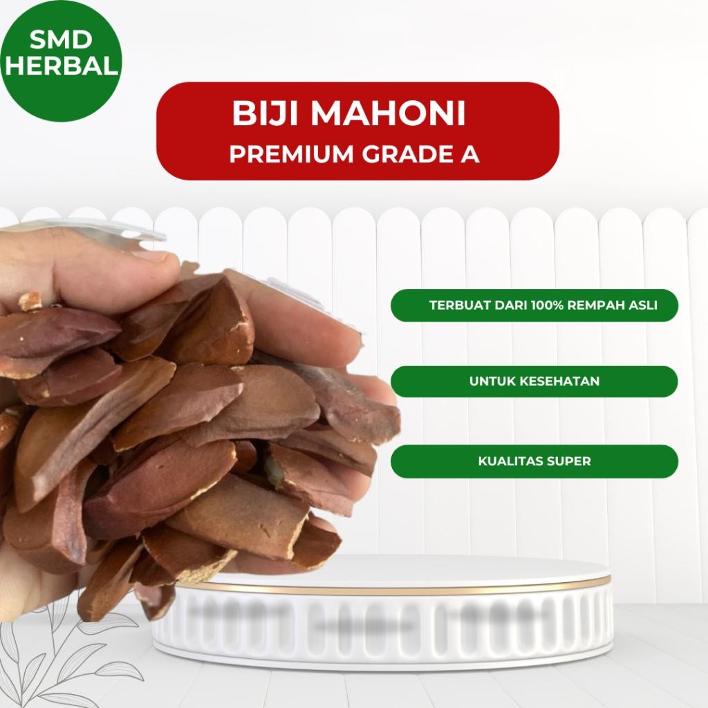 

Biji Mahoni Kering | Mahoni Premium