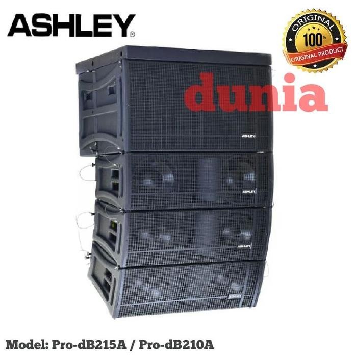 Terlaris Speaker Line Array Ashley Pro-Db210A -10 Inch Flying Sub Pro-Db215A -