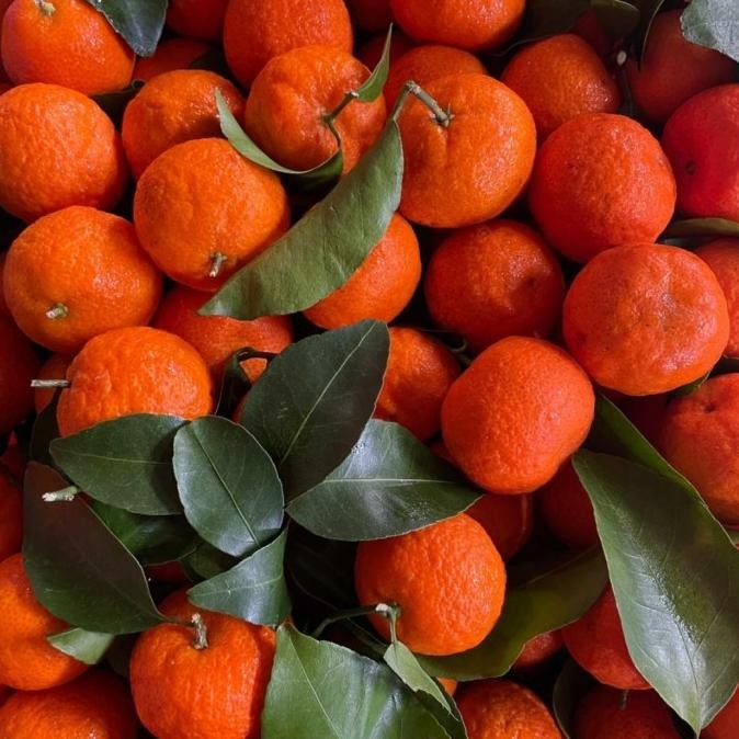 

jeruk santang madu 1kg murah