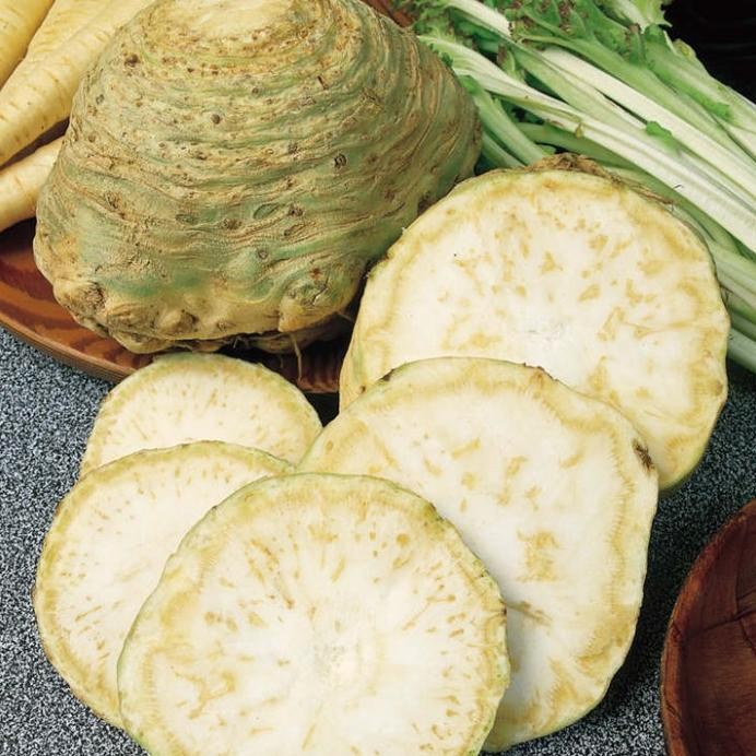 Benih Bibit Biji - Celeriac Monarch / Seledri Umbi Seeds - IMPORT murah