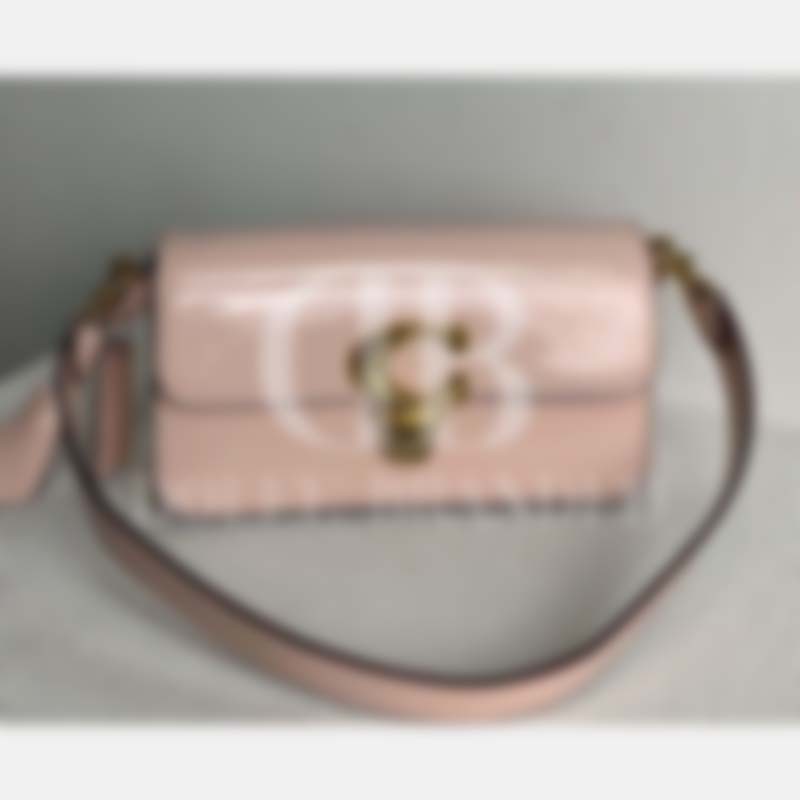 Studio Baguette Bag In Signature Canvas (CE 761)