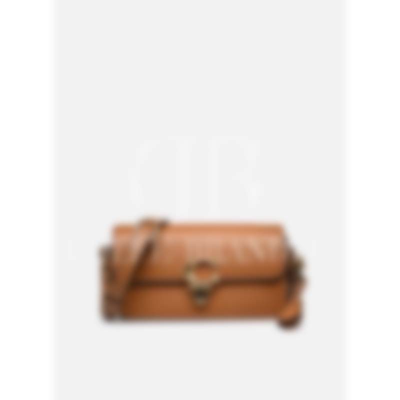 Studio Baguette Bag In Signature Canvas (CE 761)