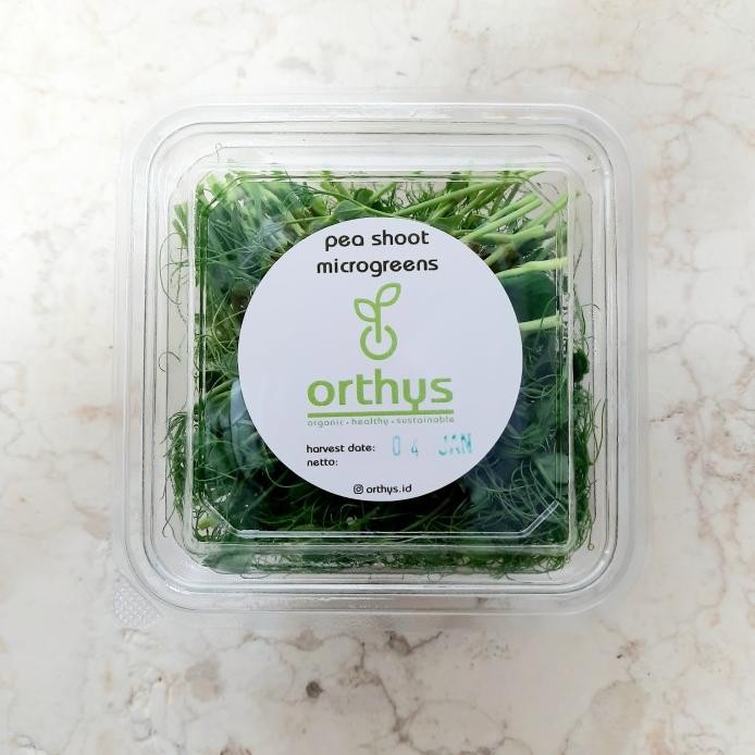 

Terlaris Pea Shoot Microgreens Cut Fresh 20 Gram