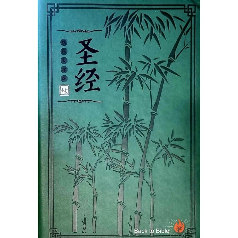 Hits Alkitab Mandarin Tulisan Besar/Chinese Bible/ Soft Cover