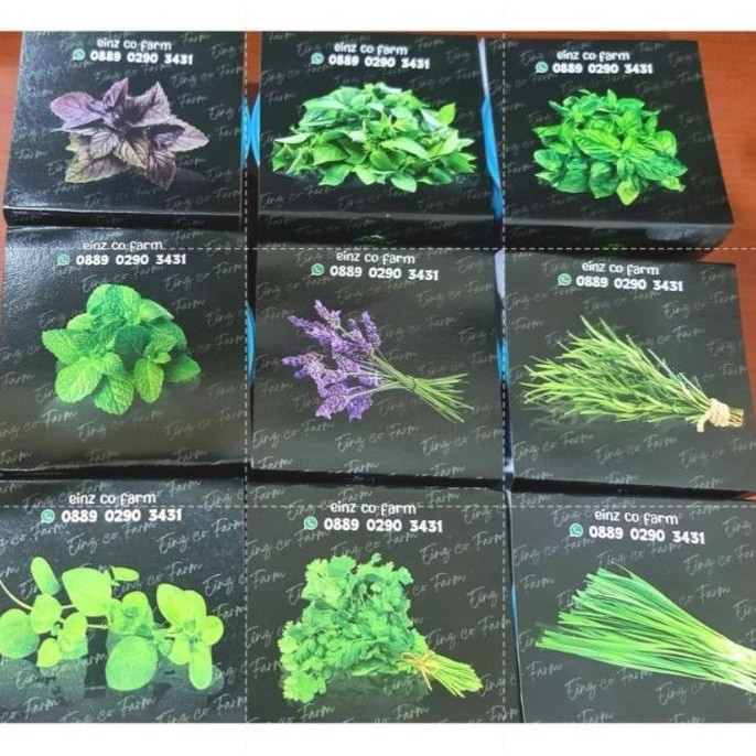

Terlaris Paket Berkebun Tanaman Herbal Bonus Pot Dan Benih By Einz Co Farm