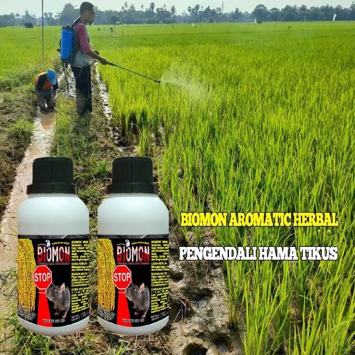 

Terlaris Biomon Aromatic Herbal Alami | Pengendali Hama Tikus Tanaman Sawah Kebun | Ramah Lingkungan