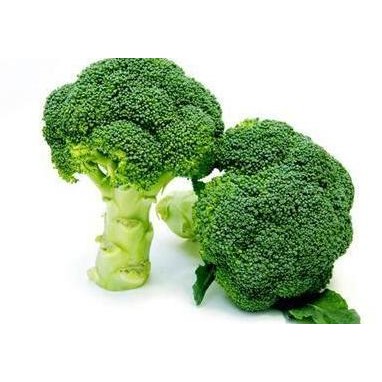 

Benih / Bibit / Biji - Brokoli / Broccoli F1 Hybrid murah