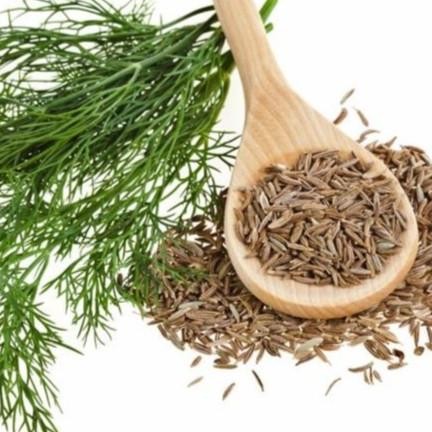 

Terlaris Benih Bibit Tanaman Herbal Cumin Jinten - Jintan Putih Isi 100 Biji