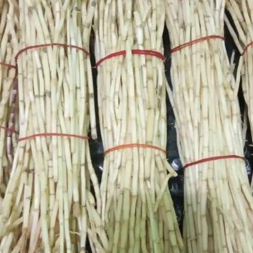 

Terlaris Akar Alang-Alang Segar Kemasan 1Kg Tanaman Obat Herbal