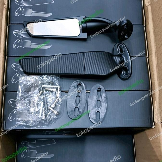 New spion winglet ninja 250 fi