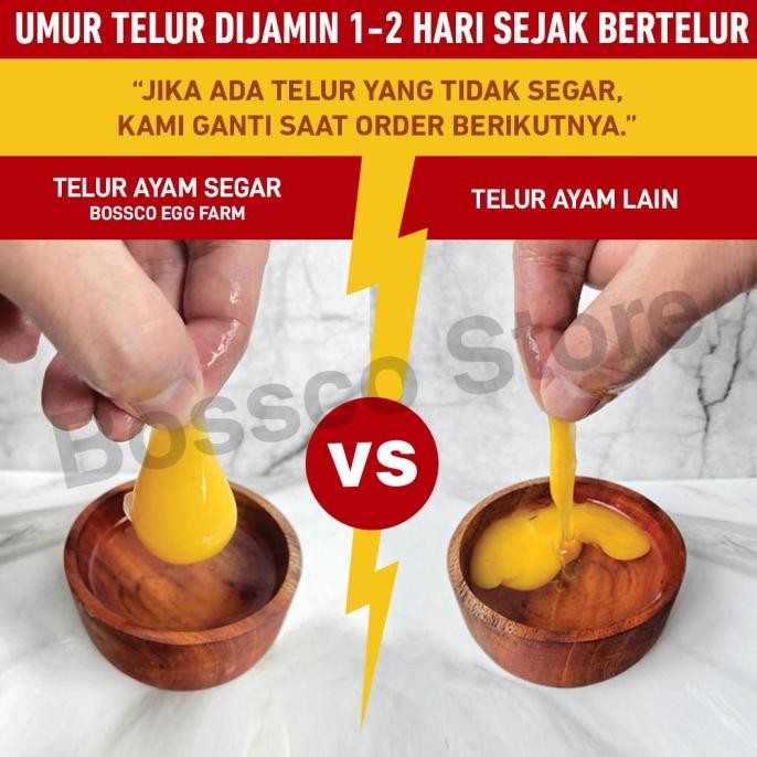 

Terlaris Telur Ayam Negri Segar / Fresh (Per Kg) Telor Ayam Negri Chicken Egg