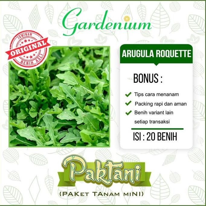 

Terlaris 20 Benih Arugula Roquette Tanaman Sayuran Herbal Paktani