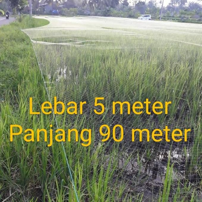 

Terlaris Jaring Padi, Jaring Emprit, Jaring Sawah Bonus Tali