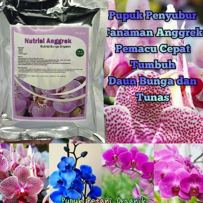 

Terlaris Pupuk Organik Pelebat Tanaman Dan Booster Bunga Anggrek Cepat Tumbuh