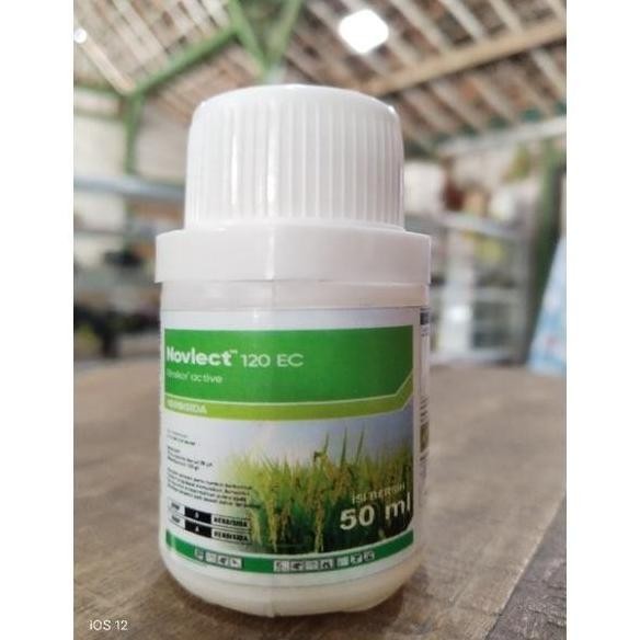 Terlaris Repact Novlect Obat Pembasmi Rumput Besar Pada Tanaman Padi Ampuh