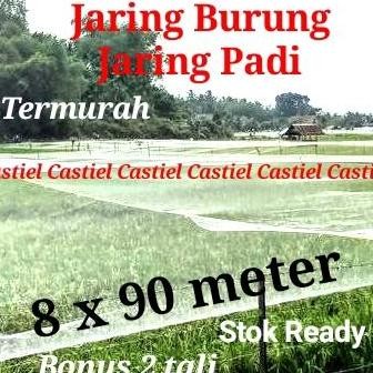 

Terlaris Jaring Padi / Jaring Burung Pipit Dan Emprit / Jaring Penutup Sawah