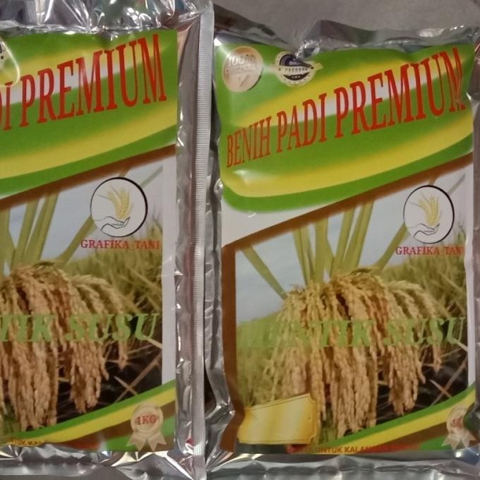 

Terlaris Benih Padi Unggul Mentik Susu 1Kg Super Premium