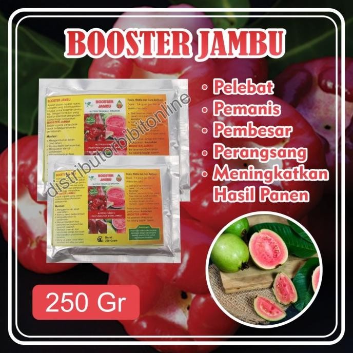 

Terlaris Pupuk Organik Booster Jambu Air Pemicu Cepat Berbuah Besar Dan Lebat