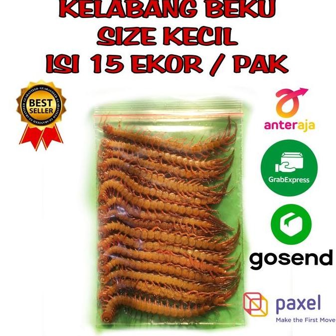 STOK TERBATAS KELABANG BEKU / LIPAN BEKU / KELABANG PAKAN IKAN AROWANA / LIPAN PAKAN