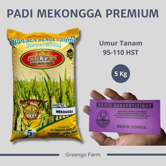 

Terlaris Benih Padi Varietas Mekongga Super Jumbo 5Kg