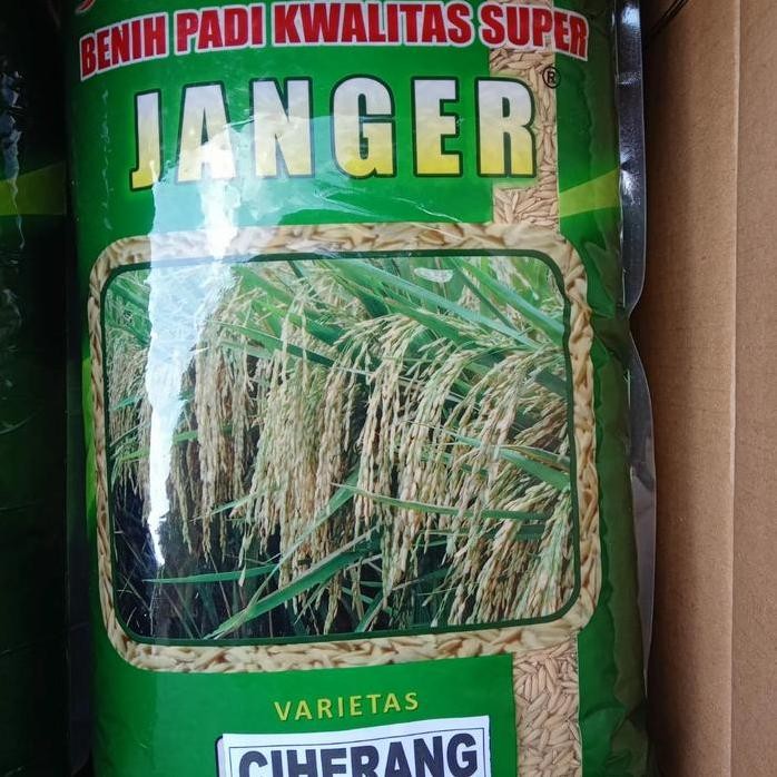 

Terlaris Benih Padi Ciherang Janger