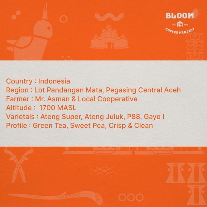 

ready stock Aceh Gayo Takengon-A.M Montage Dew Collection-Honey - Green Beans