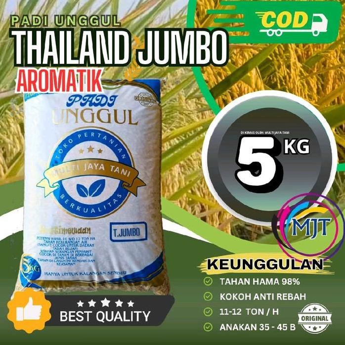 

Terlaris Benih Padi Thailand Jumbo Kualitas Premium 5Kg