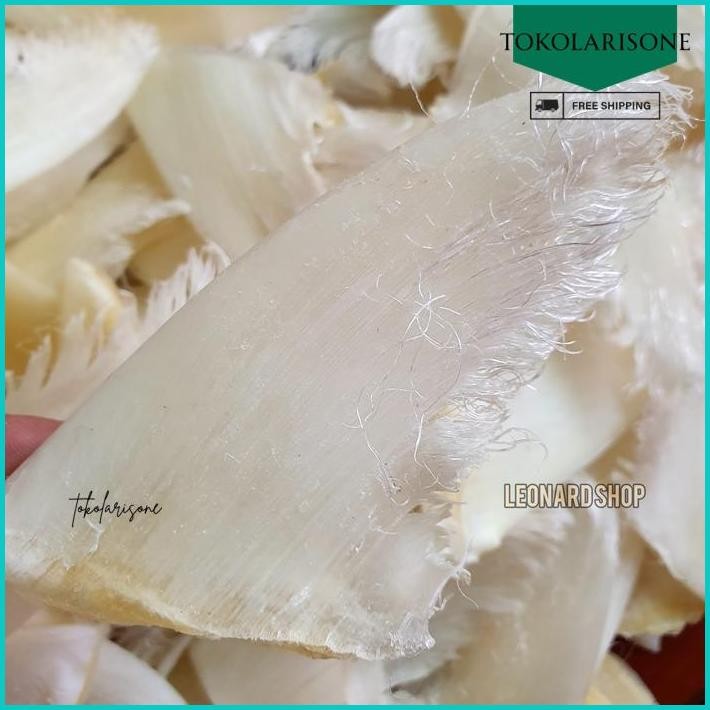 

HISIT UTUH BESAR SUPER TANPA TULANG SUP SIRIP IKAN HIU TEBAL BERSIH