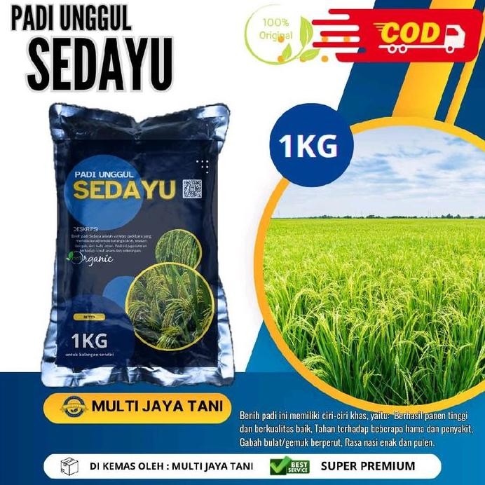 

Terlaris Benih Padi Sedayu Premium 1Kg - Karakter Batang Kokoh & Hasil 10-12 Ton/H - Tahan Kering & Wereng - Hitam