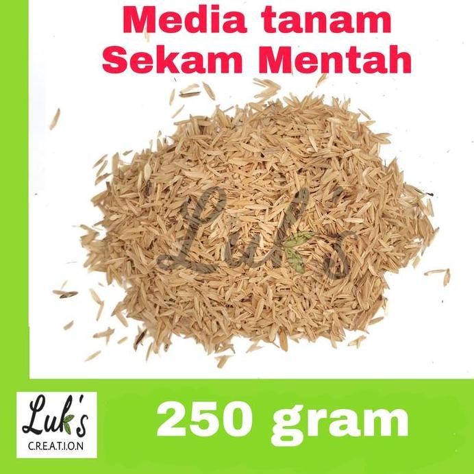 

Terlaris Sekam Mentah Media Tanam Sekam Padi Mentah Non Fermentasi
