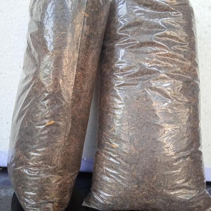 

Terlaris Media Tanam Organik Sekam Padi Busuk Fermentasi