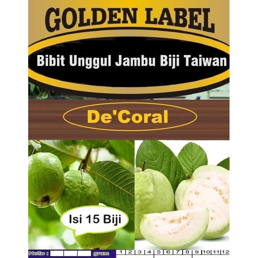 

Terlaris Bibit Unggul Jambu Biji Taiwan | Biji Benih Jambu Biji Taiwan