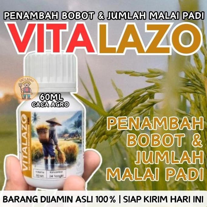 

Terlaris Vitalazo Padi Perbanyak Anakan Dan Jumlah Malai, Penambah Bobot Padi Serta Pendorong Pertumbuhan Padi