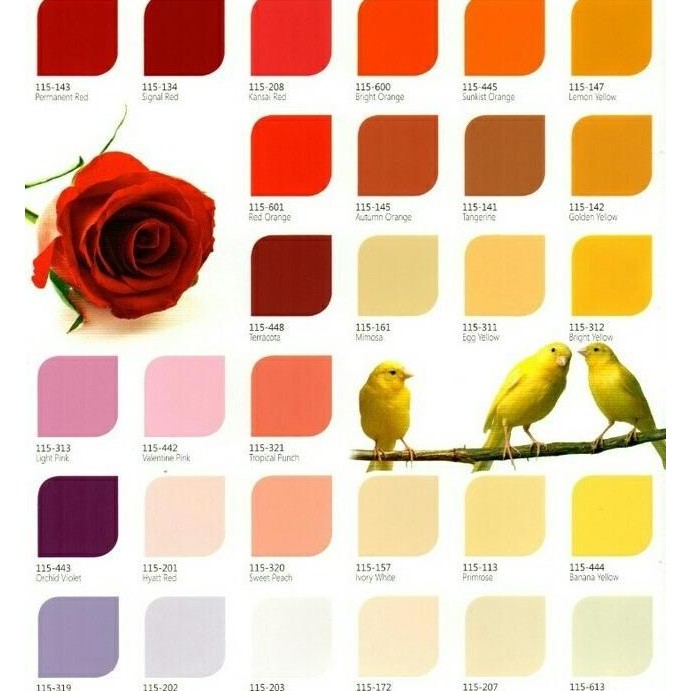 

Cat Minyak Ftalit Warna Standart 1 Kg