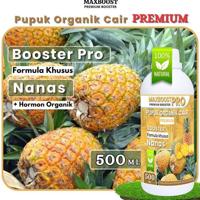 

Terlaris Pupuk Organik Cair Nanas, Booster Nanas, Membatu Mempercepat Pertumbuhan Buah Nanas, Dan Mempermanis Rasa, Memaksimalkan Hasil Panen Kemasan Pupuk Organik Cair Pelebat Nanas Berkualitas Nutrisi Terbaik 500Ml Kalium