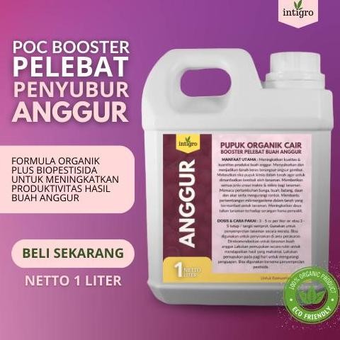 

Terlaris Pupuk Booster Organik Cair Untuk Tanaman Buah Anggur Cepat Berbuah Lebat Pupuk Pelebat Anggur Terbaik / Pupuk Pelebat Anggur / Pupuk Booster Organik Anggur Merangsang Buah Melebatkan Menyuburkan / Pupuk Anggur Brazil Jaboticaba Pupuk Organik