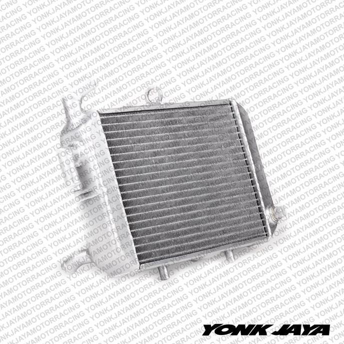 NEW RADIATOR RACING AAI COOLING EXPERT XMAX