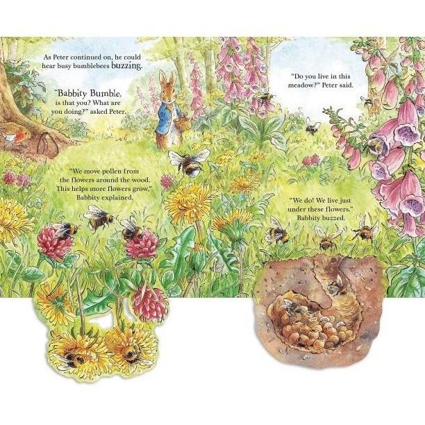 Tersedia Usborne Peter Rabbit A Peep Inside Tale Buku Anak Bahasa Inggris