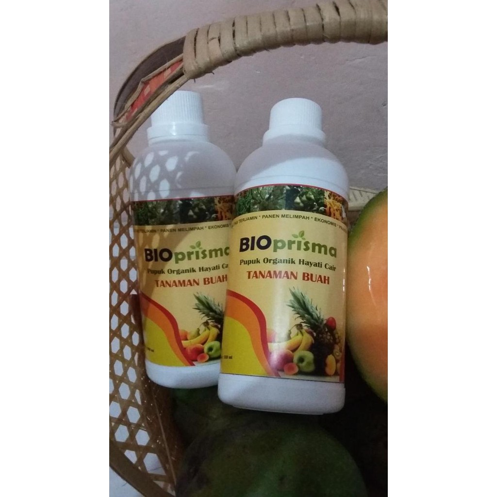 

Terlaris Pupuk Organik Cair Pertumbuhan Buah - Bioprisma - Mangga Jambu Dll