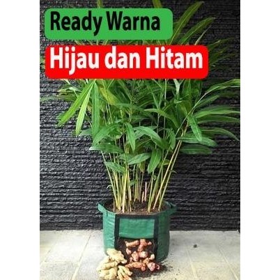 

Terlaris Yuhh Polybag Pot Bibit Tanaman Rimpang : Jahe , Kunyit Rhizoma Planter Bag
