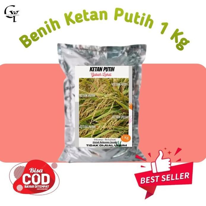 

Terlaris Bibit Padi Ketan Putih/Grendel 1 Kg Promo Termurah
